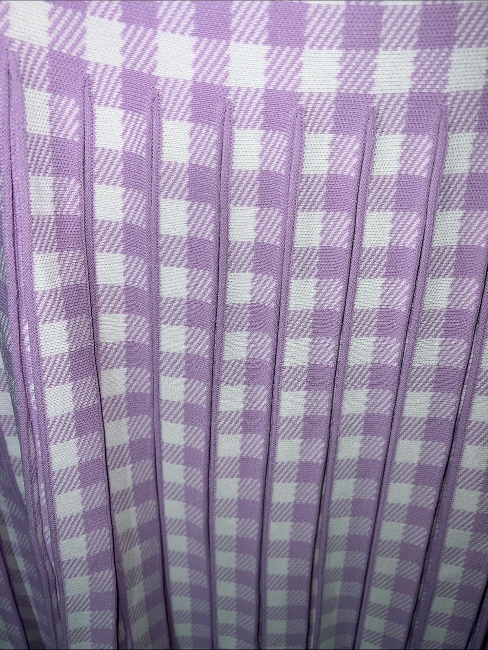 Aleeza Paris Lavender Gingham Pleated Midi Skirt - Picture 3 of 8